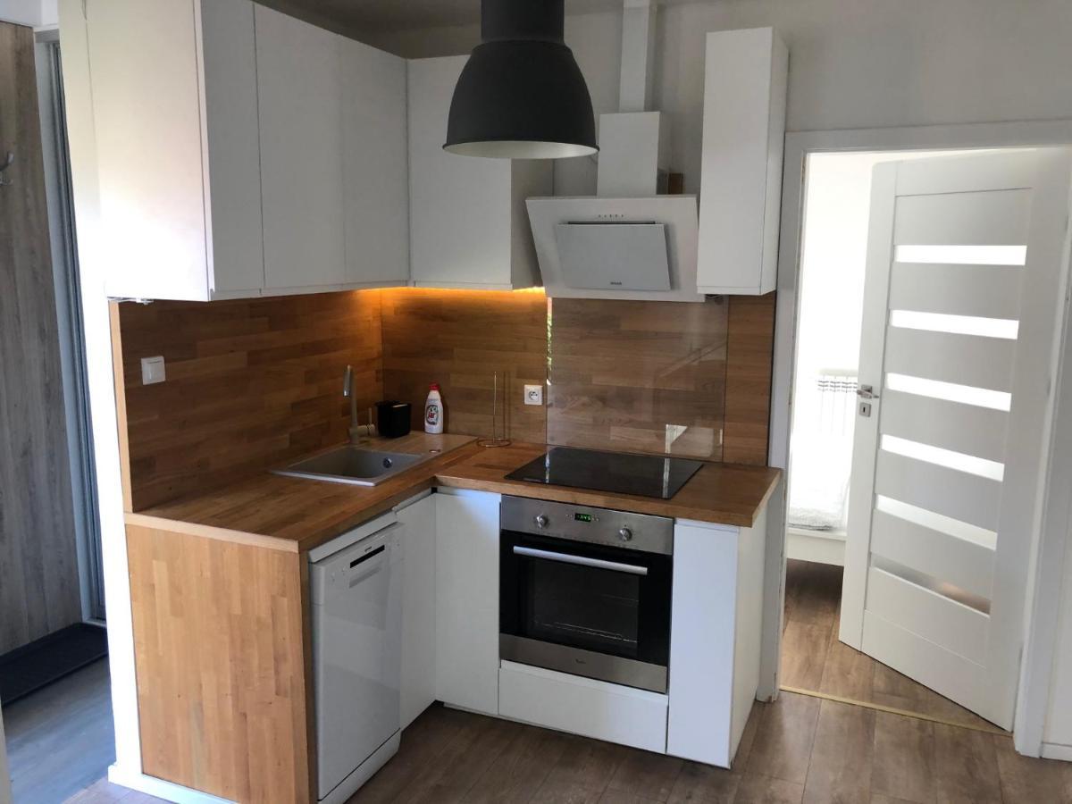 Apartman V Centre Michaloviec ミハロフツェ エクステリア 写真
