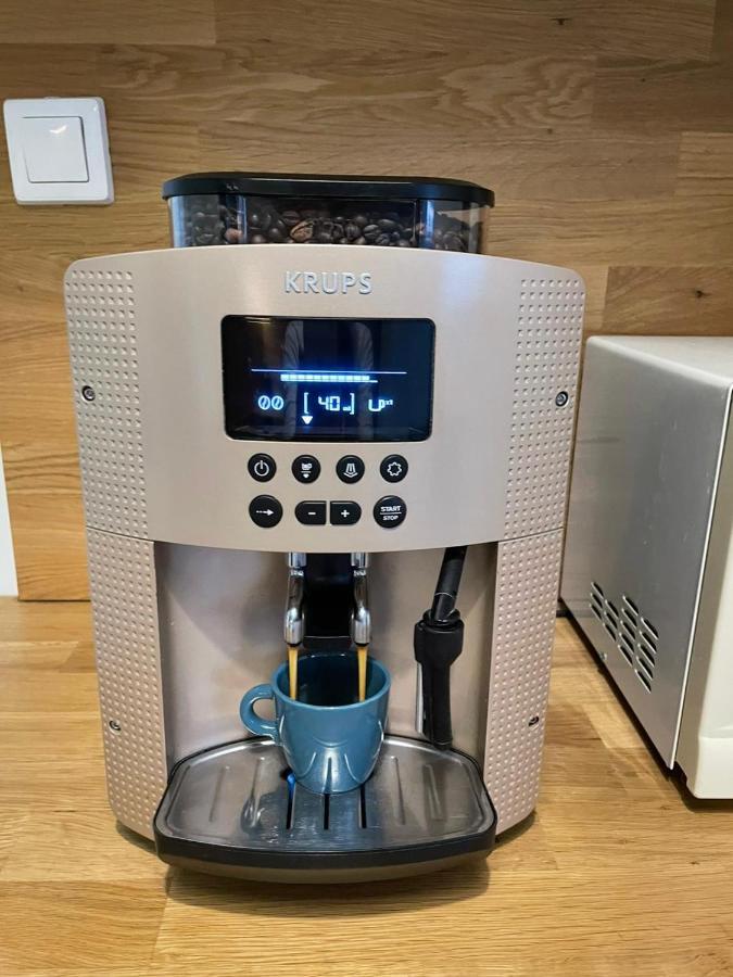 Apartman V Centre Michaloviec ミハロフツェ エクステリア 写真