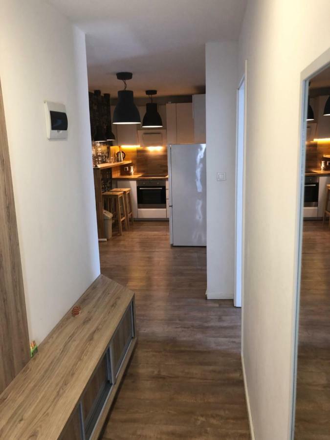 Apartman V Centre Michaloviec ミハロフツェ エクステリア 写真
